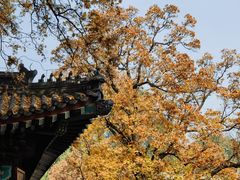 -香山公园