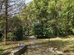 -上海中医药大学附属曙光医院(东部)