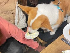 -玲婧胡同·生日蛋糕·餐厅(嘉里城店)