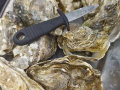 清蒸生蚝-嘉升大排档(番禺总店)