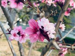 -丰茂烤串(金源店)