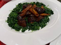 -新雅粤菜馆(南京东路店)