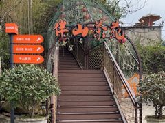 -伴山茶苑·围炉煮茶