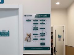 -瑞派康怡24h宠物医院·犬猫医疗中心·微创绝育(瑞景分院)