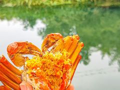 -欢乐蟹庄·精品农家乐(阳澄湖莲花岛店)