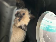 -美联众合动物医院·24h京西诊疗中心