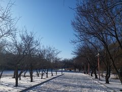 -吉林大学(前卫南区)