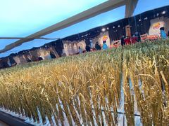 -重庆十八梯传统风貌区