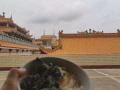 -深圳仙湖植物园