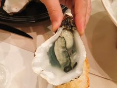 -Oyster Talks 四度蚝法餐厅