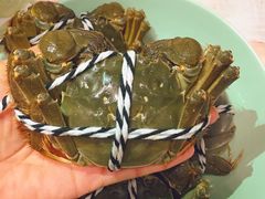 阳澄湖大闸蟹-七的湖·晚芳亭·阳澄湖农家菜·大闸蟹(莲花岛店)