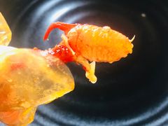 -红钳侠小龙虾·烧烤(中赢康康谷店)