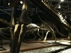 -世界恐龙谷景区