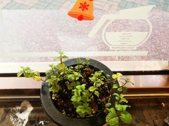 -ZING COFFEE 镜咖啡