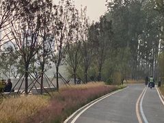 -坝河休闲公园