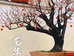 -龙华寺