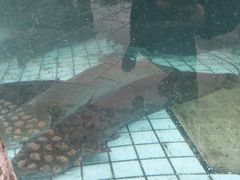-天怡·鱼工厂(临江店)