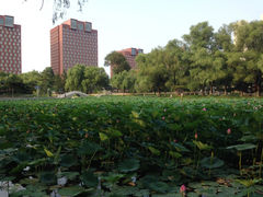 -东北师范大学(净月大街校区)