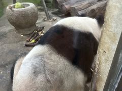 -柳州市动物园