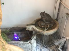 -苗祖咖啡(洛克时代中心店)