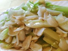 -清真·安乐园菜馆(茶南店)