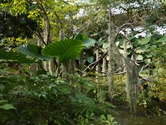 -南通洲际绿博园