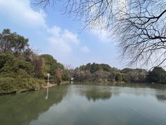 -八大山人梅湖景区