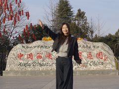 -中国西峡恐龙遗迹园