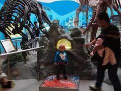 -陕西自然博物馆