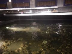 -清水湾足道馆