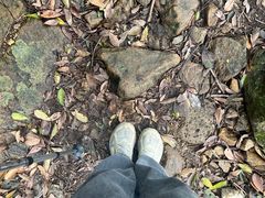 -梧桐山风景名胜区