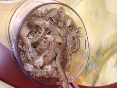 蓝海岸霞浦海鲜-渔傅·蓝海岸霞浦海鲜(正祥店)