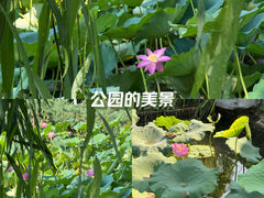 -北京动物园