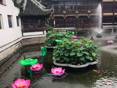 -豫园湖心亭茶楼