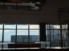 -君悦酒店·乐厨·高空自助餐(青年大街店)