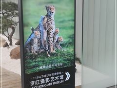 -罗红摄影艺术馆