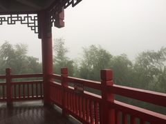 -蔡伦竹海
