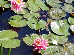 -宁波杭州湾国家湿地公园