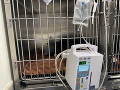 -佑安动物医院·全科·内窥镜中心(幸福巷店)