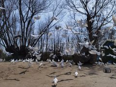 -南通洲际绿博园