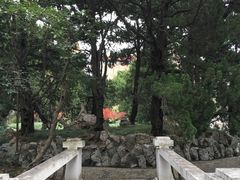 -叶家花园