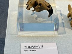 -安阳博物馆