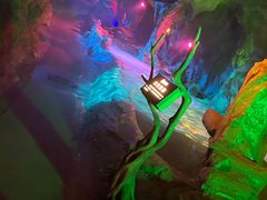 -辋川溶洞