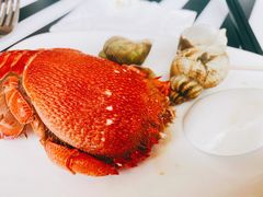 -万达文华酒店·48F云端窗景美食汇自助餐厅