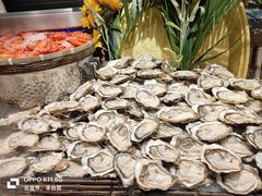 -初色海鲜自助(万丰路店)