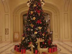 -利顺德大饭店·水岸中餐厅(小白楼店)