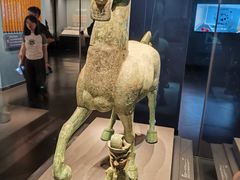 -广西壮族自治区博物馆