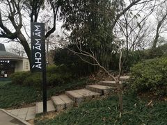 门面-MAMACHA妈妈茶(岳麓山店)