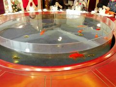 -聚宝渔港.五钻酒家(上地店)