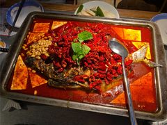 重庆豆花烤鱼-探鱼·鲜青椒爽麻烤鱼(增城东汇城店)